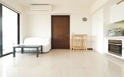 Spottiswoode Residences (D2), Condominium #212273511